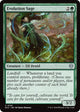 Evolution Sage (Lorwyn Eclipsed)