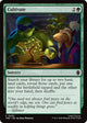 Cultivate (50) (Teenage Mutant Ninja Turtles)