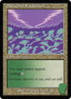 Scattered Groves (2523) (Secret Lair Drop Series)
