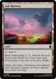 [Foil] Ash Barrens (Surge Foil) (60) (Teenage Mutant Ninja Turtles)