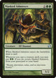 Masked Admirers (154) (Modern Masters)