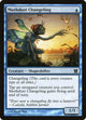 [Foil] Mothdust Changeling (53) (Modern Masters)