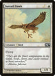 Suntail Hawk (40) (Magic 2014 (M14))
