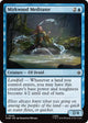 Mirkwood Meditator (48) (The Hobbit) (HOB)
