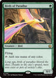 Birds of Paradise (FDC #191)