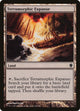 Terramorphic Expanse (C13 #328)