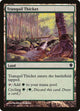 Tranquil Thicket (329) (Commander 2013)