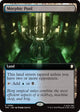 Morphic Pool (Extended Art) (390) (Commander: Star Trek) (TRC)