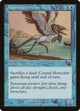 Coastal Hornclaw (31) (Prophecy)