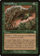 [Foil] Canopy Surge (184) (Invasion)