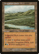 [Foil] Irrigation Ditch (324) (Invasion)