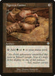 [Foil] Tigereye Cameo (314) (Invasion)