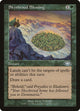 [Foil] Skyshroud Blessing (92) (Planeshift)