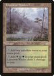 Llanowar Wastes (141) (Apocalypse)