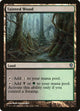 Tainted Wood (78) (Jace vs. Vraska)