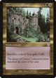 [Foil] Overgrown Estate (113) (Apocalypse)