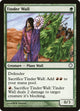 Tinder Wall (270) (Coldsnap Theme Deck Reprints)