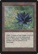 Black Lotus (Beta Edition)
