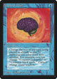 Sleight of Mind (Beta Edition)