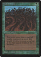 Wall of Wood (Beta Edition)