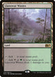 [Foil] Llanowar Wastes (244) (Magic 2015 (M15))