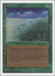 Lifelace (Unlimited Edition)