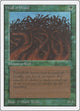 Wall of Wood (Unlimited Edition)