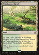 [Foil] Windswept Heath (248) (Khans of Tarkir)