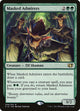 Masked Admirers (206) (Commander 2014)