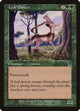 [Foil] Leaf Dancer (249) (Odyssey)