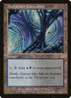 [Foil] Darkwater Catacombs (319) (Odyssey)