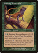 [Foil] Basking Rootwalla (121) (Torment)