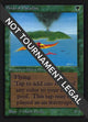 Birds of Paradise (CEI #187)