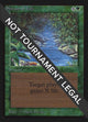 Stream of Life (IE) (International Edition)