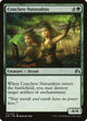 Conclave Naturalists (171) (Magic Origins)
