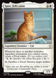 Spot, Felis catus (TRC #29)